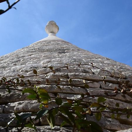 Quei Trulli Divini Bed & Breakfast Martina Franca Ngoại thất bức ảnh