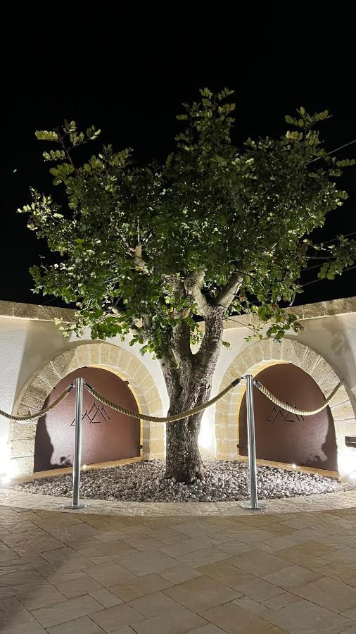 Quei Trulli Divini Bed & Breakfast Martina Franca Ngoại thất bức ảnh